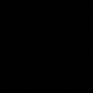 Jimmy Choo patent leather 3” pointed heels 37.5